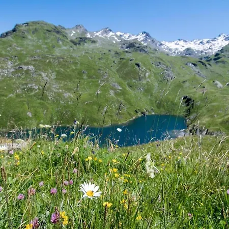 Savoyard Style Alpine Retreat